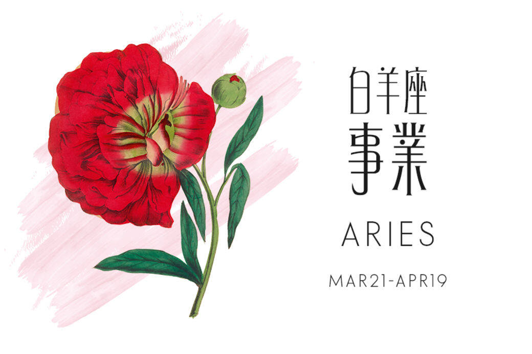 幸運的木星進入朋友宮,這是傳統上容易得到他人幫助,實現夢想的好年。 幸運的木星進入朋友宮,這是傳統上容易得到他人幫助,實現夢想的好年。