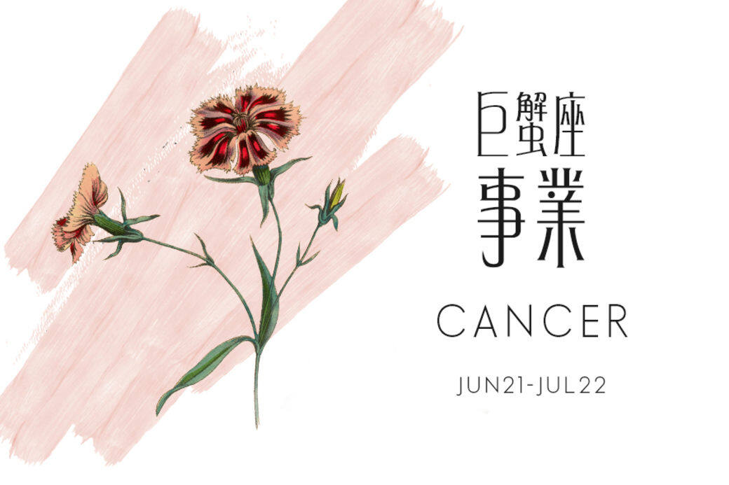 如何善用資源,同步擴張和深耕既有的優勢,是巨蟹座在2021年的機會和方向。 如何善用資源,同步擴張和深耕既有的優勢,是巨蟹座在2021年的機會和方向。
