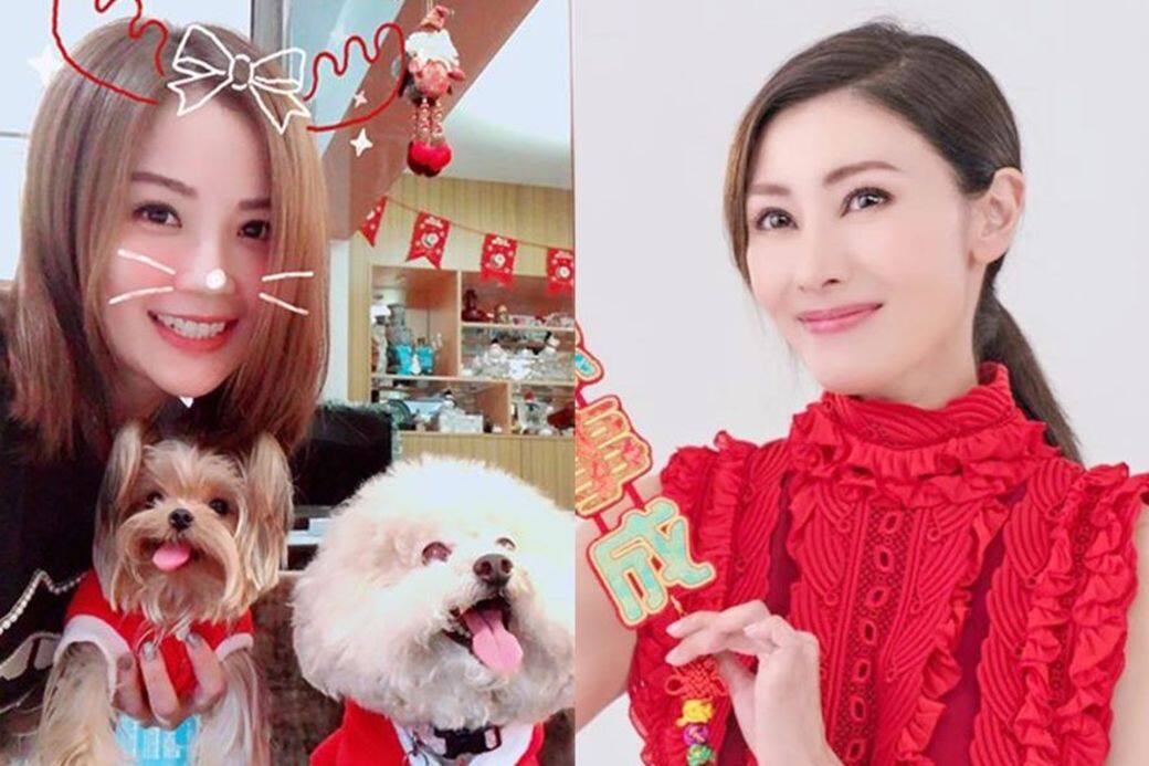新年 新年