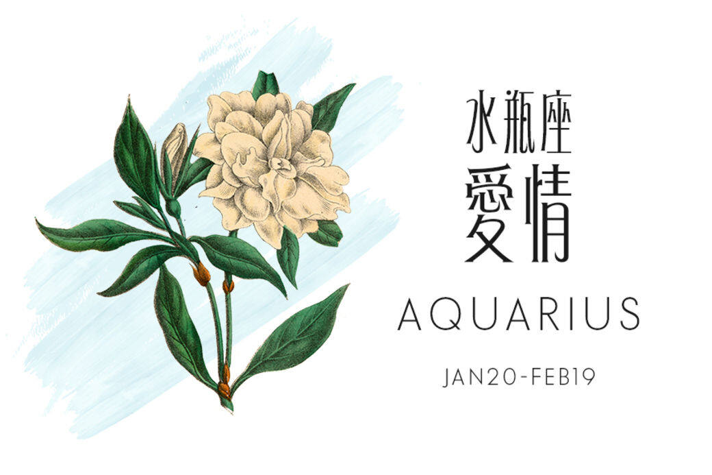 愛情運 戀愛快樂 愛情運 戀愛快樂