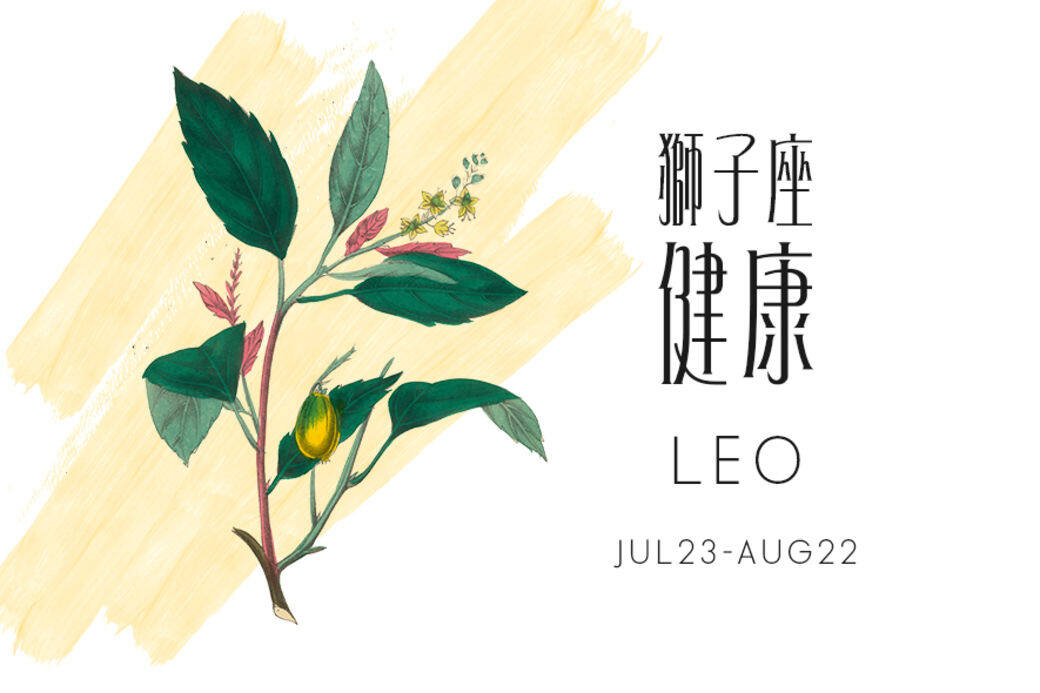 健康運 疲勞轟炸 健康運 疲勞轟炸
