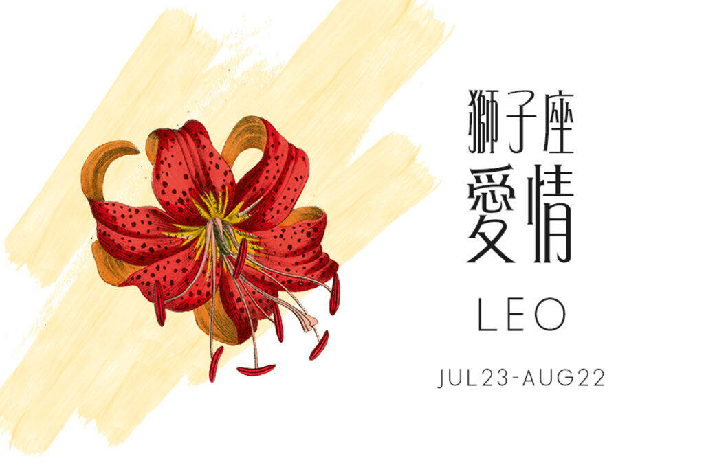 愛情運 通往愛情的路上 愛情運 通往愛情的路上