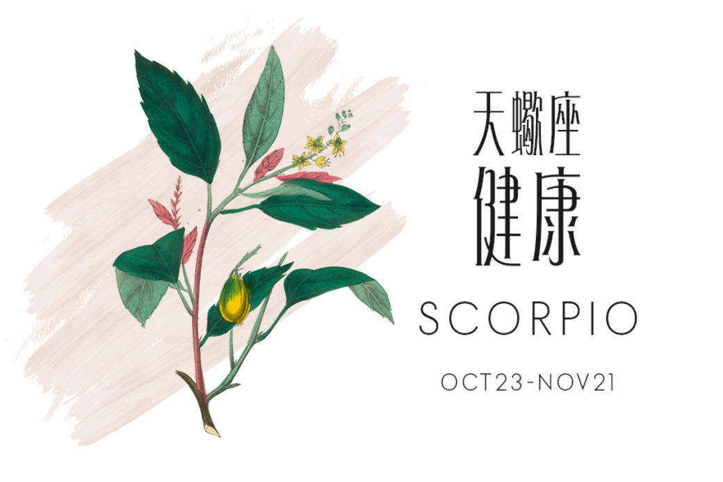 健康運 活在當下 健康運 活在當下
