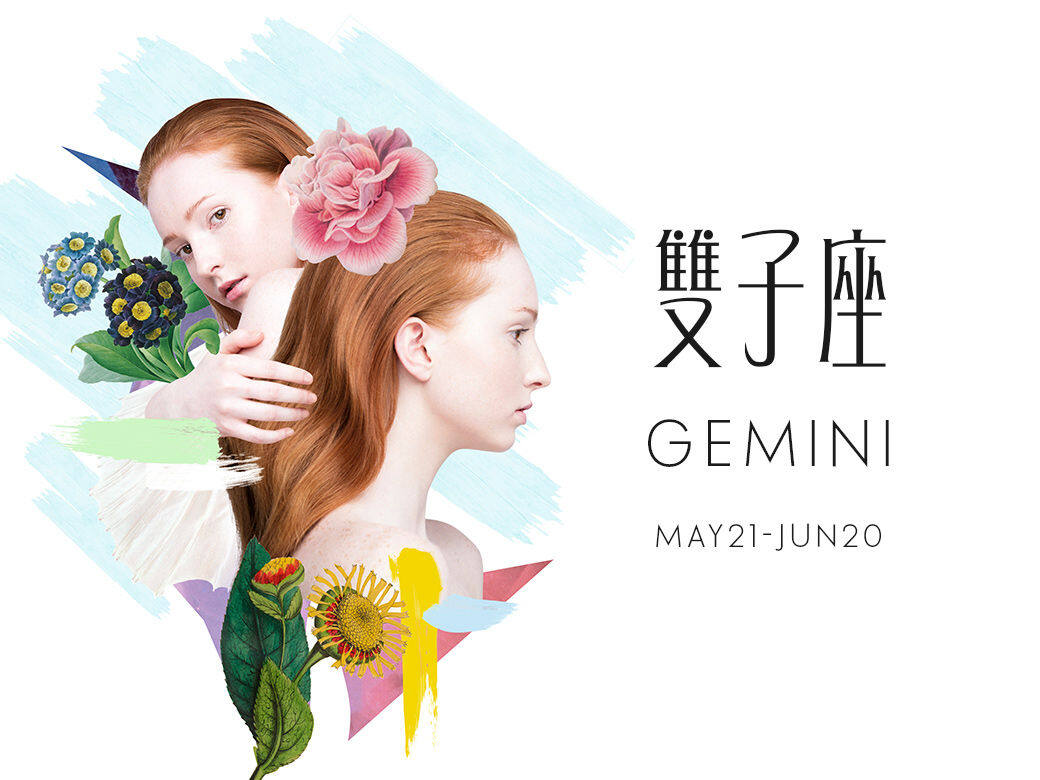Gemini Gemini