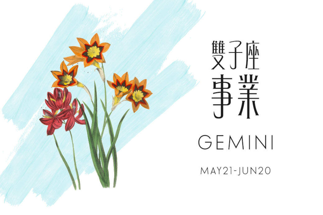 一掃去年的陰霾,雙子座2021年的事業運勢水漲船高,不但容易與人合作結盟 一掃去年的陰霾,雙子座2021年的事業運勢水漲船高,不但容易與人合作結盟