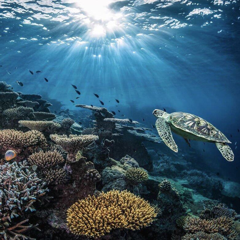 每年,位於世界各地 La Mer 的團隊、他們的家人及社區均會參與清潔及修復 每年,位於世界各地 La Mer 的團隊、他們的家人及社區均會參與清潔及修復