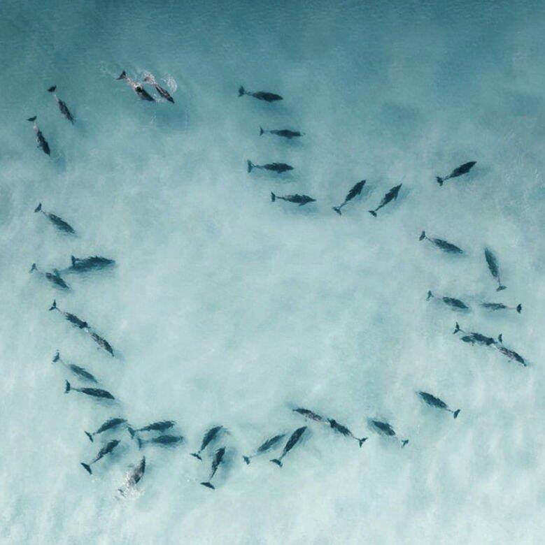 天然護膚品牌One Ocean Beauty致力保護海洋環境及生物多樣性,摒棄從海中採摘 天然護膚品牌One Ocean Beauty致力保護海洋環境及生物多樣性,摒棄從海中採摘