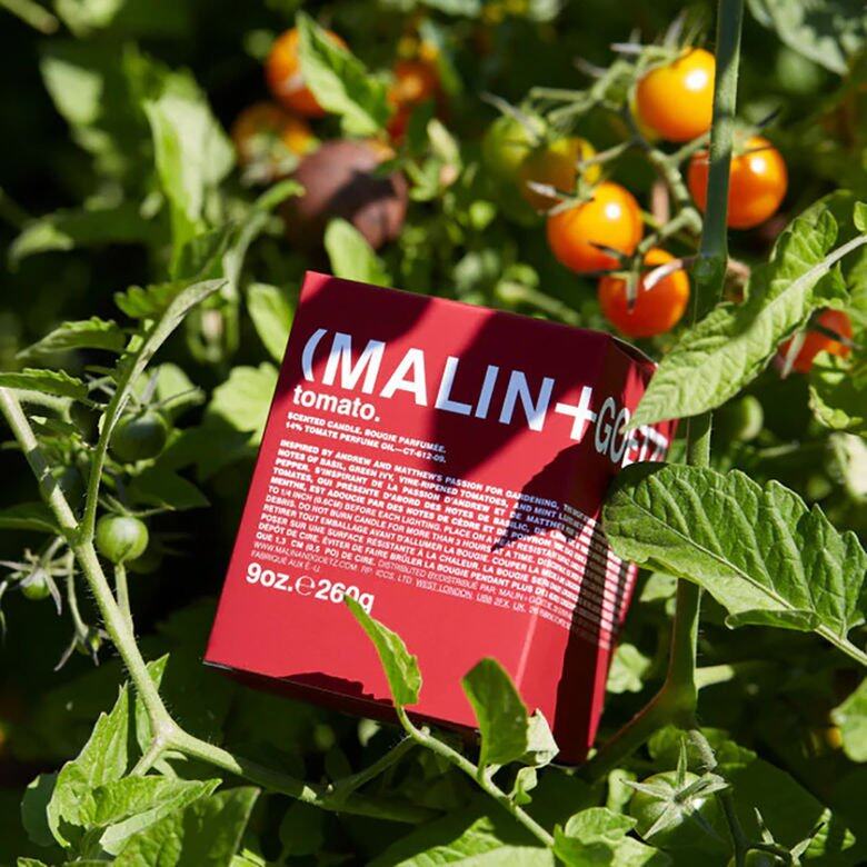 小眾品牌個性擴香器香薰蠟燭推介:MALIN+GOETZ 蕃茄香薰蠟燭 $500 小眾品牌個性擴香器香薰蠟燭推介:MALIN+GOETZ 蕃茄香薰蠟燭 $500