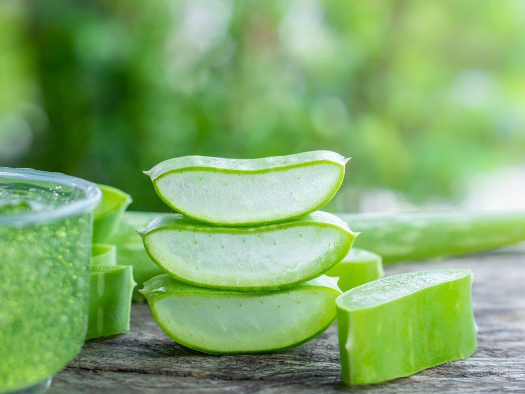 【減肥食譜】夏天就吃蘆薈吧！註冊營養師推介4個蘆薈減肥護膚食譜