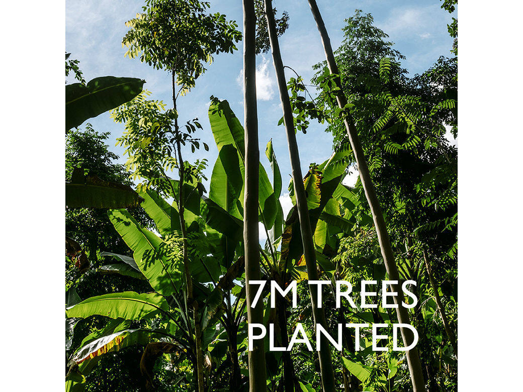 今年，品牌繼續與國際環保組織“1% For The Planet”攜手於全球種植樹木，保謢野生