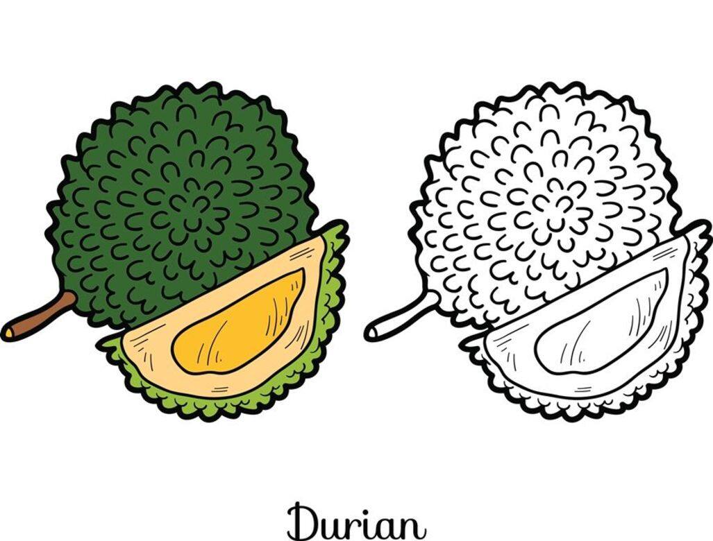 減肥, 瘦身, 水果, health, fitness, fruit 減肥, 瘦身, 水果, health, fitness, fruit