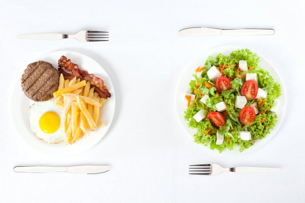 MEC fitness diet MEC fitness diet
