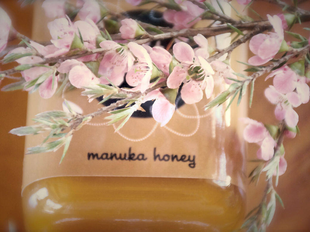 有紐西蘭國寶之稱的麥蘆卡蜂蜜(Manuka Honey)源於麥盧卡樹的一種單花蜜,相較 有紐西蘭國寶之稱的麥蘆卡蜂蜜(Manuka Honey)源於麥盧卡樹的一種單花蜜,相較