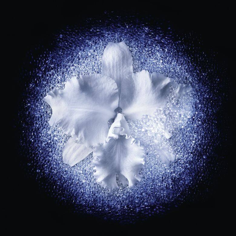 它融注了第四代Orchidée Impériale御庭蘭花系列的細胞呼吸技術（Cell Respiration™ Technology），性質溫