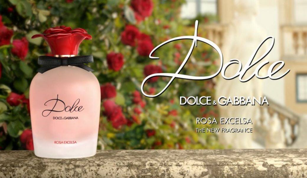 dolce gabbana rosa excelsa perfume