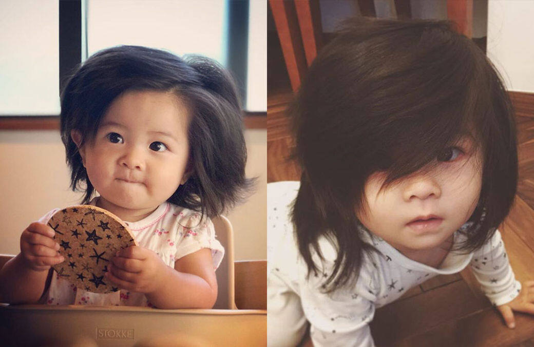 日本毛孩 Baby Chanco 天生擁有一頭純天然豐厚的頭髮 日本毛孩 Baby Chanco 天生擁有一頭純天然豐厚的頭髮
