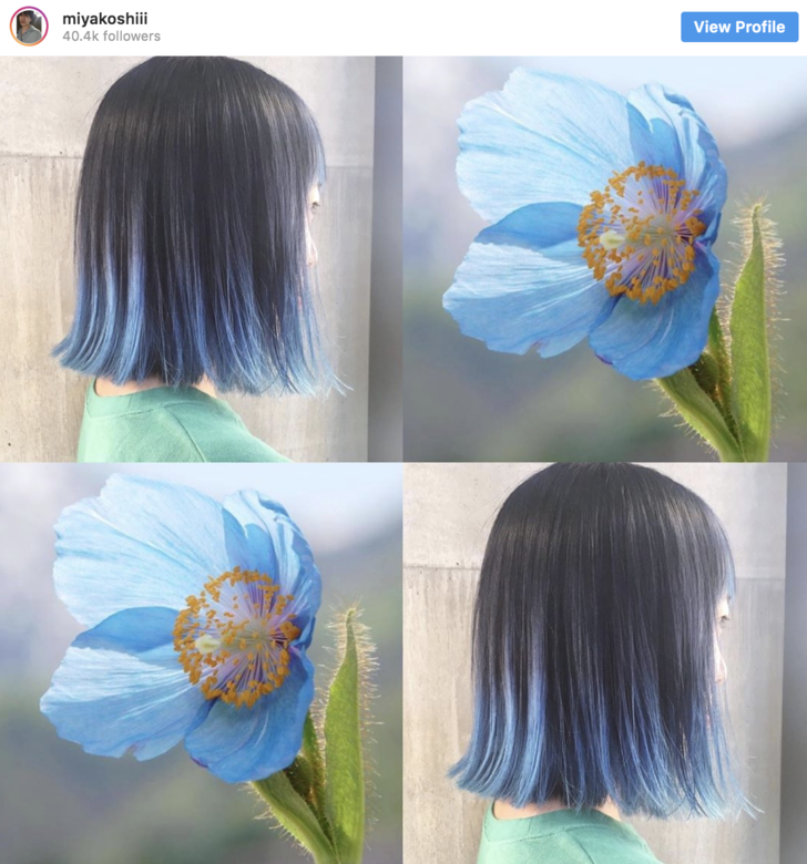 如果希望髮色灰霧感能完美顯現出來,建議還是漂染頭髮的染髮方法,才 如果希望髮色灰霧感能完美顯現出來,建議還是漂染頭髮的染髮方法,才