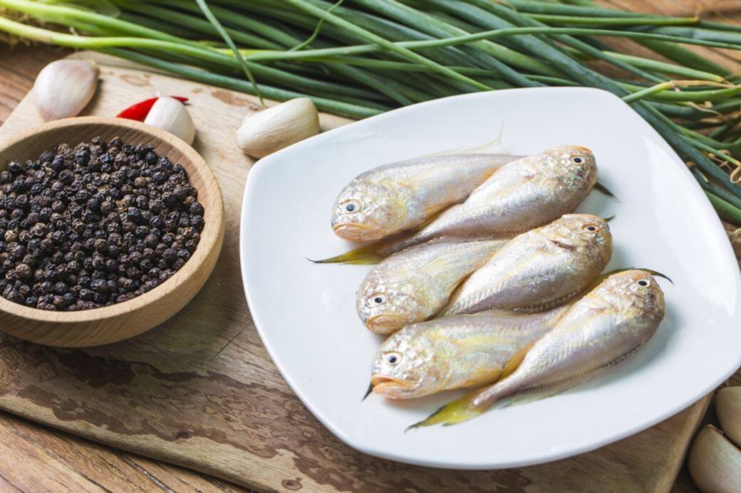 黃花魚的Omega 3脂肪酸比三文魚還要高 黃花魚的Omega 3脂肪酸比三文魚還要高