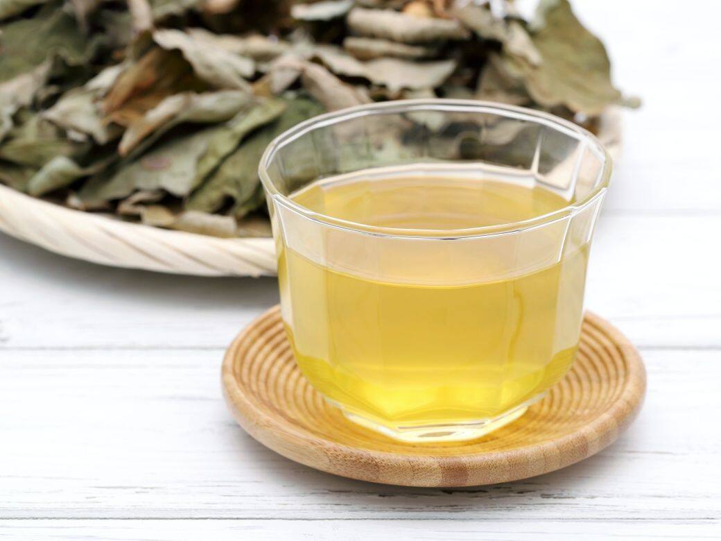 魚腥草抗炎、消腫!中醫分享8個魚腥草茶貼士 + 食譜分享 魚腥草抗炎、消腫!中醫分享8個魚腥草茶貼士 + 食譜分享