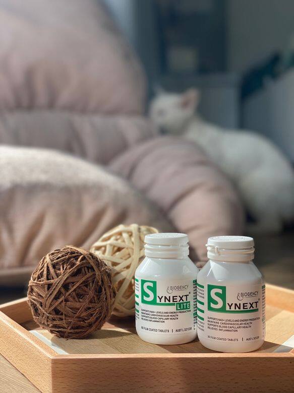 Synext當中除了NAD+,還含有大量珍貴成份, 包括白藜蘆醇,槲皮素,輔酶Q10,薑黃 Synext當中除了NAD+,還含有大量珍貴成份, 包括白藜蘆醇,槲皮素,輔酶Q10,薑黃