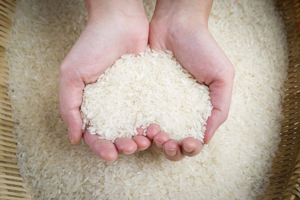 每餐要有優質蛋白質:要避免肌肉流失、皮膚彈性減少、脫髮,甚至免疫力下 每餐要有優質蛋白質:要避免肌肉流失、皮膚彈性減少、脫髮,甚至免疫力下