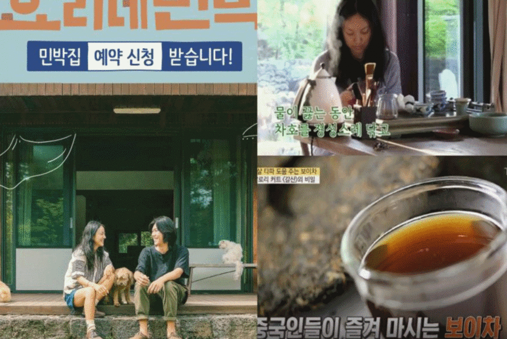 節目中李孝利夫婦每天早上都會喝普洱茶,也會沖泡招待住在民宿的旅 節目中李孝利夫婦每天早上都會喝普洱茶,也會沖泡招待住在民宿的旅