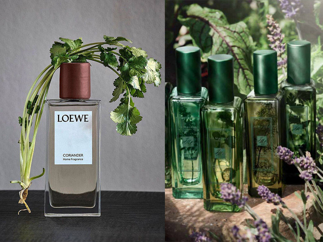 除了Loewe、Jo Malone其他超好聞芫荽產品是?還有Diptyque、Jo Loves等! 除了Loewe、Jo Malone其他超好聞芫荽產品是?還有Diptyque、Jo Loves等!
