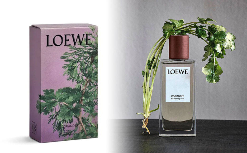 Loewe 2020居家香氛系列﹕芫荽香氛 Loewe 2020居家香氛系列﹕芫荽香氛
