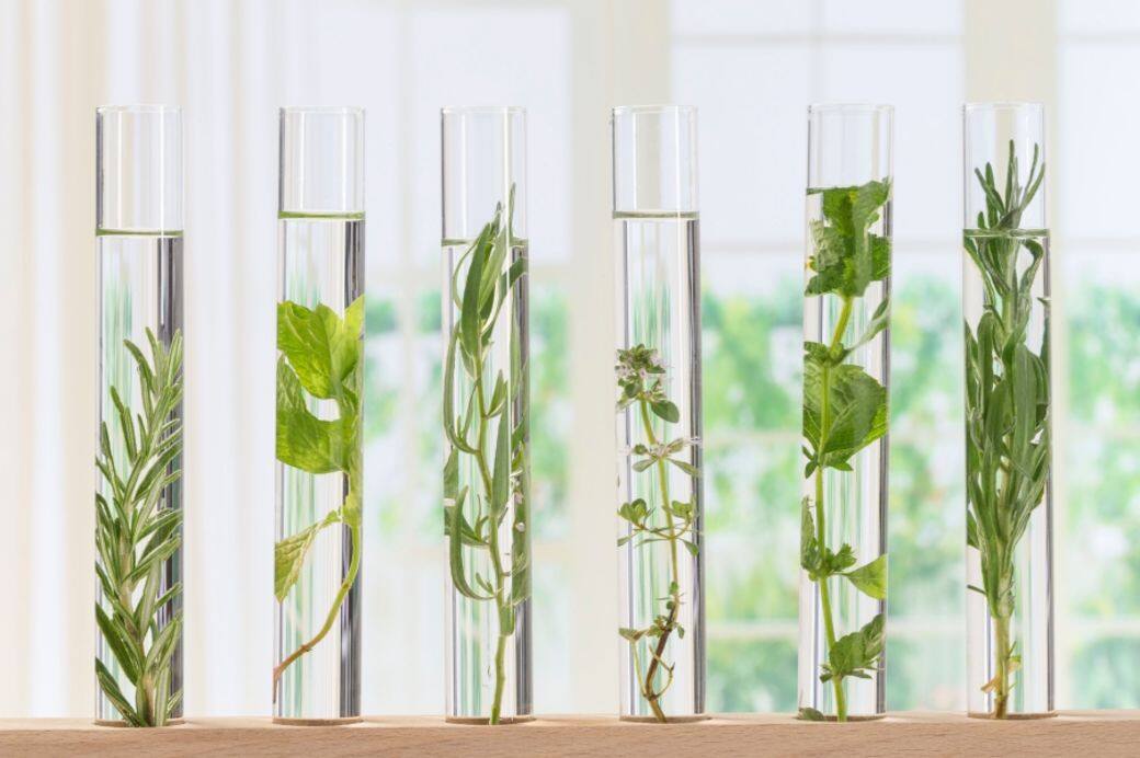 敏感或者極乾燥的成熟肌膚則可以在粉底中加1、2滴月見草油(evening primrose oil 敏感或者極乾燥的成熟肌膚則可以在粉底中加1、2滴月見草油(evening primrose oil