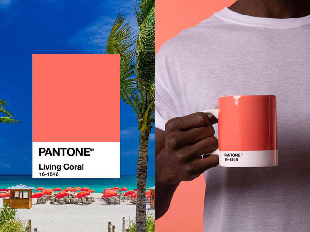 Pantone 剛剛公布 2019 年度色是 #16-1546 Living Coral 活珊瑚橘色 Pantone 剛剛公布 2019 年度色是 #16-1546 Living Coral 活珊瑚橘色