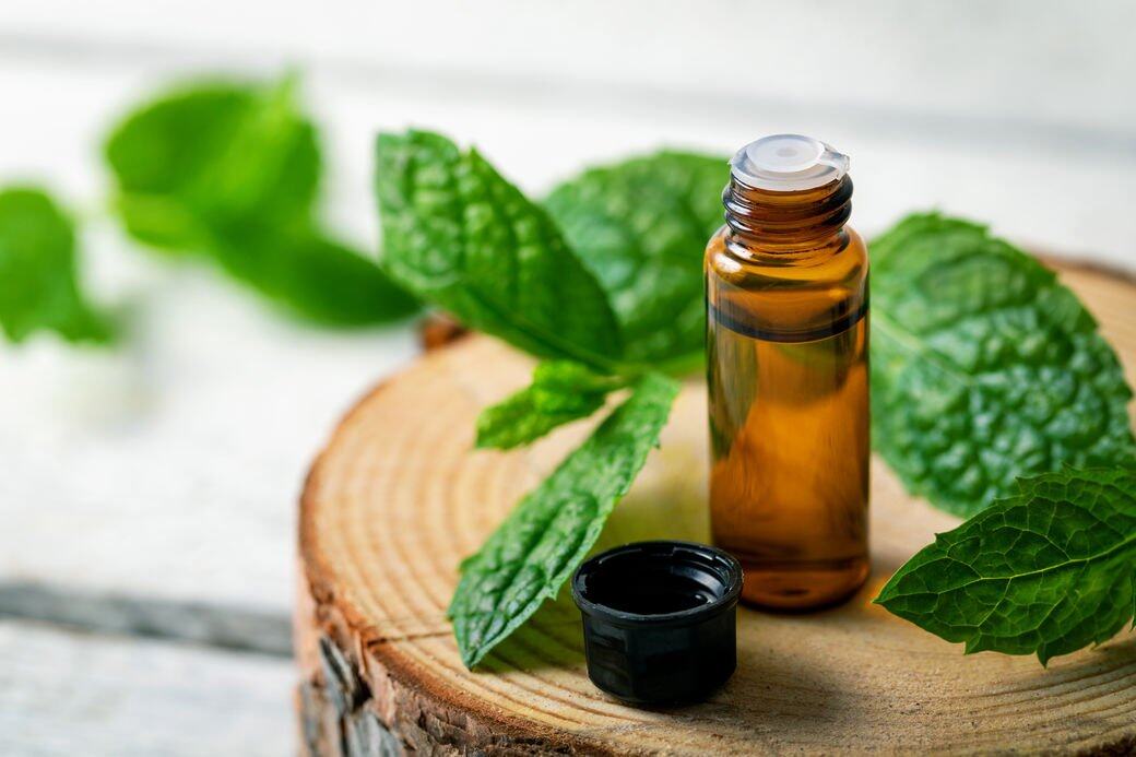 建議鼻塞時可沖泡一杯熱薄荷茶,當中的薄荷醇可令鼻腔血管收縮,而熱 建議鼻塞時可沖泡一杯熱薄荷茶,當中的薄荷醇可令鼻腔血管收縮,而熱