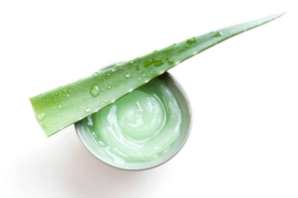 蘆薈就是最受歡迎舒緩護膚品。
