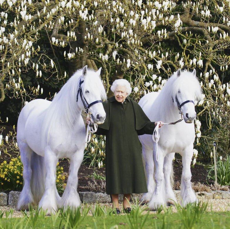為慶祝英女王96歲大壽，英國皇室官方社群發布了一張英女王的新照片