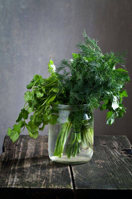 芫茜又名香菜,生食及熟食均可,芫茜葉具有獨特香氣,常以用來調味。存放 芫茜又名香菜,生食及熟食均可,芫茜葉具有獨特香氣,常以用來調味。存放
