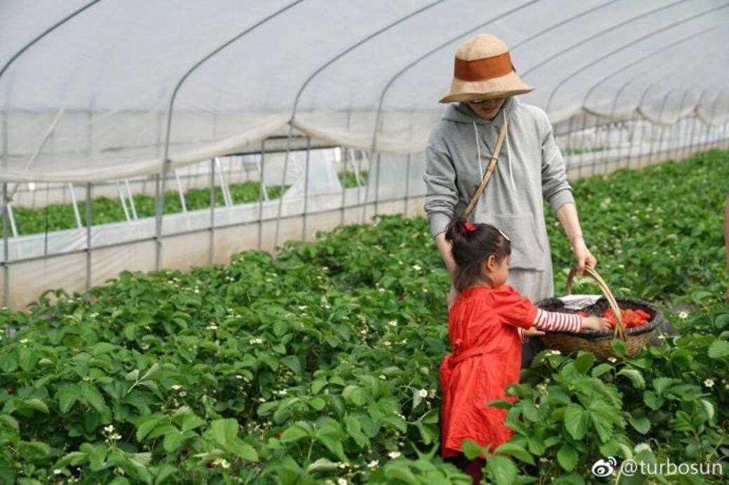 「對於採草莓,採的時候很歡樂,回家就更歡樂了,因為採的草莓太多,又容易 「對於採草莓,採的時候很歡樂,回家就更歡樂了,因為採的草莓太多,又容易