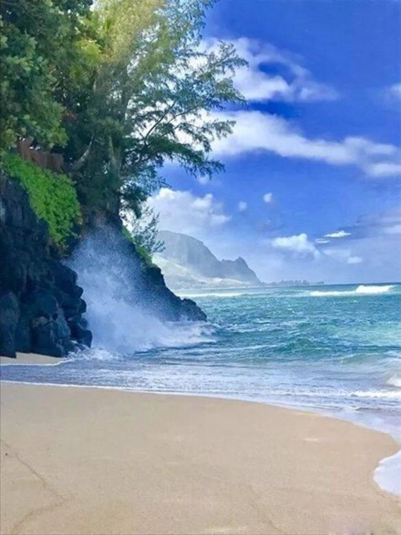 可愛島:體驗傳統文化慶典可愛島位於夏威夷的最北端,小島被連綿的山 可愛島:體驗傳統文化慶典可愛島位於夏威夷的最北端,小島被連綿的山