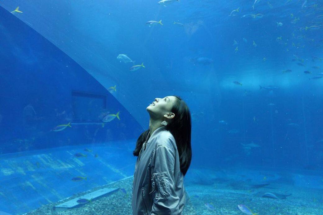 可以和結婚行程一起安排的小旅行婚禮結束後就是自由時間啦!和南部 可以和結婚行程一起安排的小旅行婚禮結束後就是自由時間啦!和南部