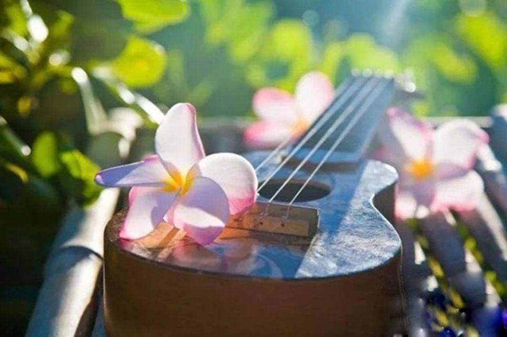 夏威夷大島在2018年3月3日舉辦唯客樂尤克里裡音樂節(Waikoloa Ukulele Festival)是夏威 夏威夷大島在2018年3月3日舉辦唯客樂尤克里裡音樂節(Waikoloa Ukulele Festival)是夏威