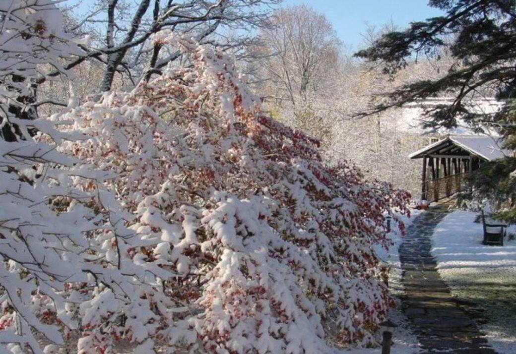3. 佛蒙特州巴納德:Twin Farms 白雪覆蓋的林地山脈美不勝收,地下酒窖和私人 3. 佛蒙特州巴納德:Twin Farms 白雪覆蓋的林地山脈美不勝收,地下酒窖和私人