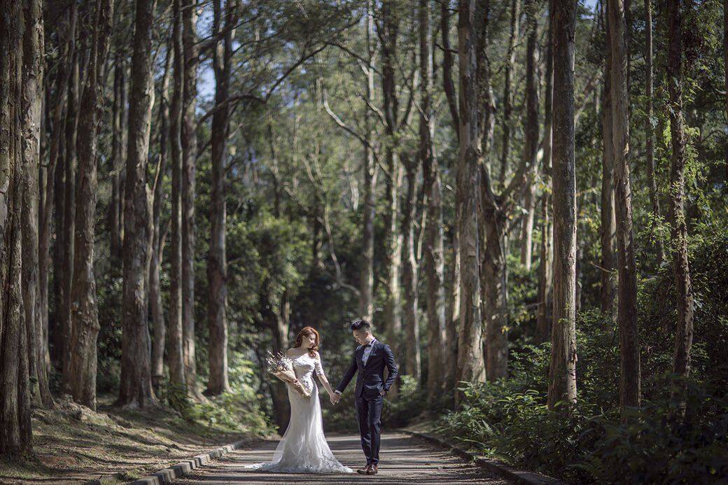 美景:水浸白千層、樹林、水塘景色Photo: Flowerspace Production 美景:水浸白千層、樹林、水塘景色Photo: Flowerspace Production