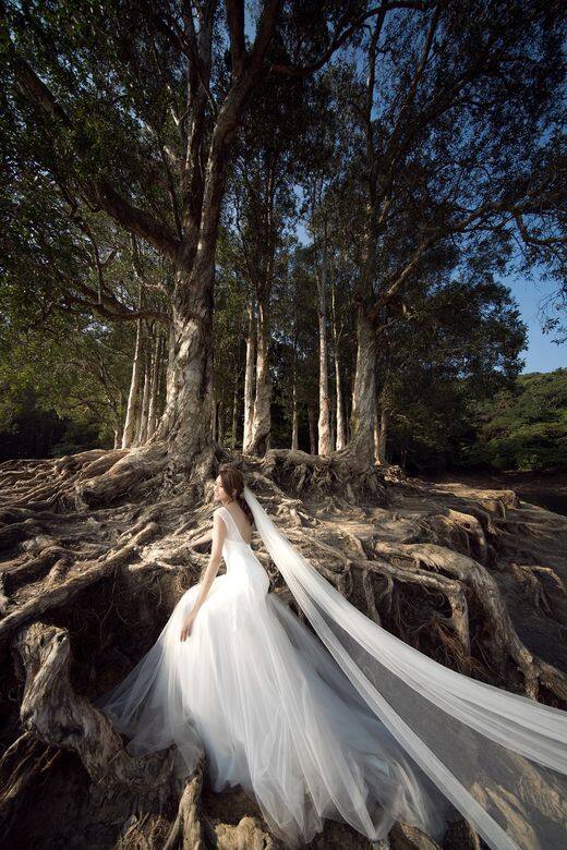 茂密的樹林和外露的樹根形成獨特神秘的氛圍，配合浪漫的婚紗裙擺，新
