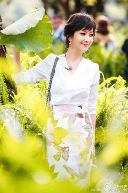 趙雅芝婚姻問題,不能全入黃錦燊的賬內 趙雅芝婚姻問題,不能全入黃錦燊的賬內