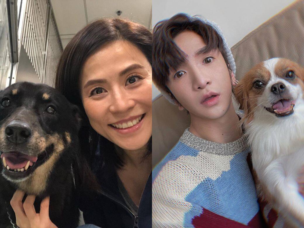 不論品種也值得愛!他們都是愛狗的藝人們 不論品種也值得愛!他們都是愛狗的藝人們