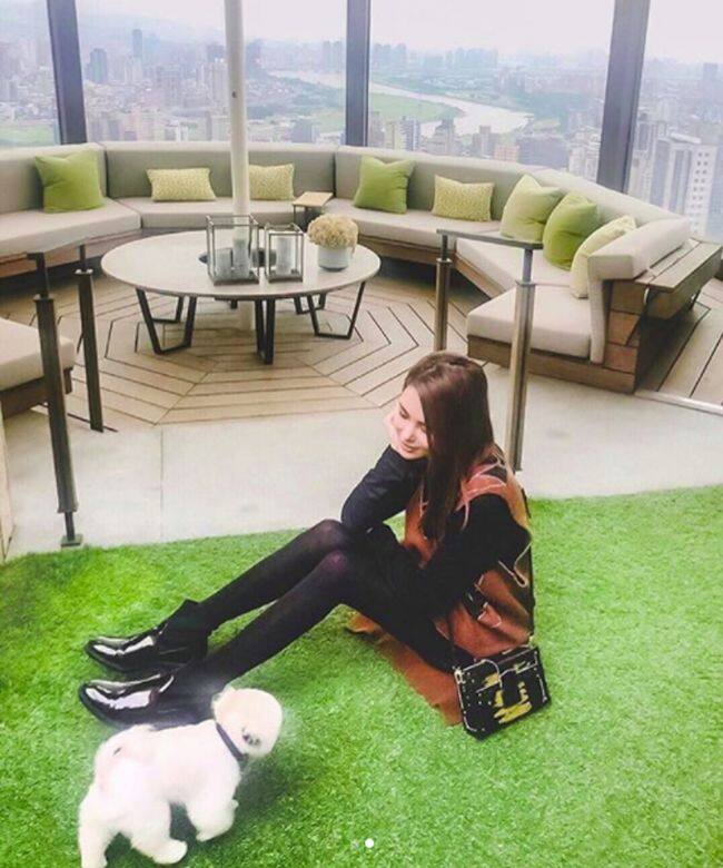 周杰倫 周杰倫