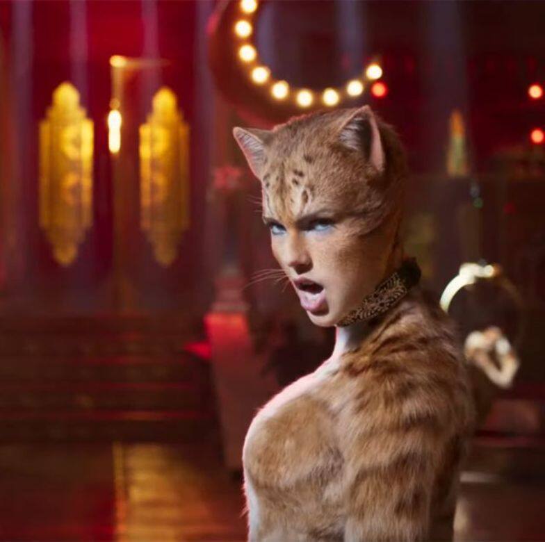 Cats Cats