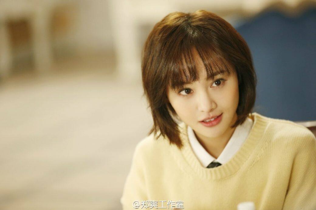 鄭爽, 四小花旦 鄭爽, 四小花旦