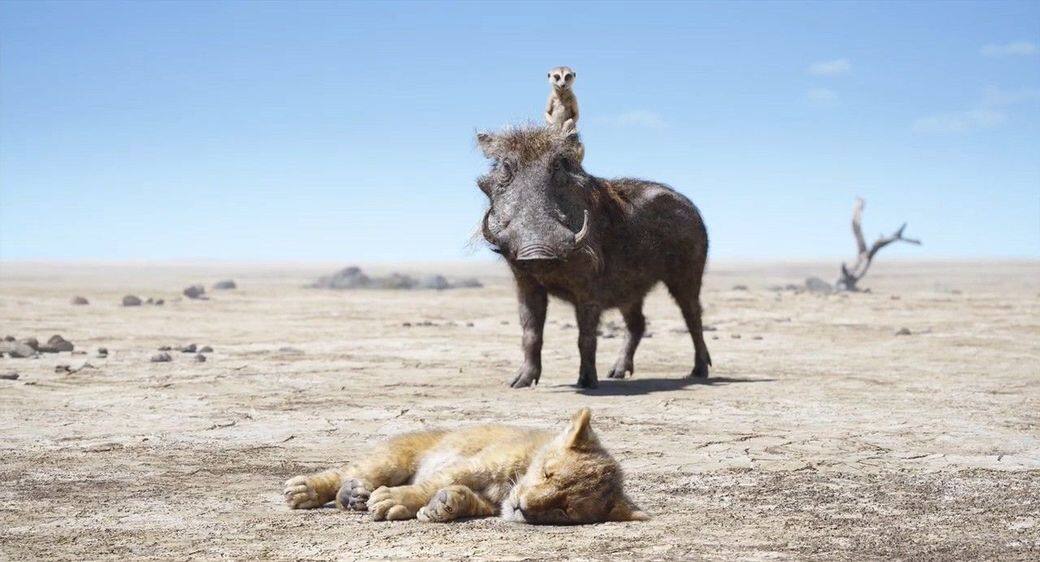 《獅子王》的其中金句是Hakuna Matata,意思指追求無憂無慮的生活,但追求是有一卜 《獅子王》的其中金句是Hakuna Matata,意思指追求無憂無慮的生活,但追求是有一卜