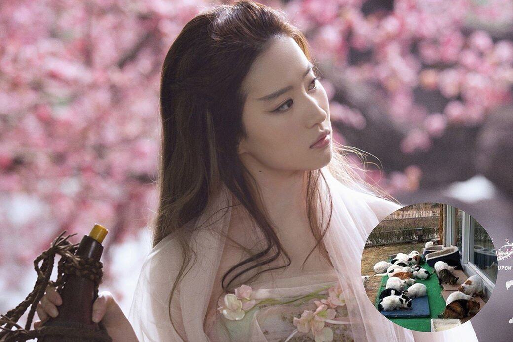 劉亦菲 劉亦菲