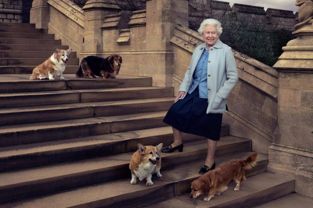 英女王最後一隻哥基犬逝世!30隻「皇犬哥基」中歷年最受寵的是牠! 英女王最後一隻哥基犬逝世!30隻「皇犬哥基」中歷年最受寵的是牠!