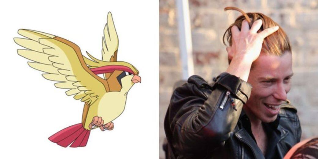 明星:Shaun White相似的小精靈:比比鳥 明星:Shaun White相似的小精靈:比比鳥